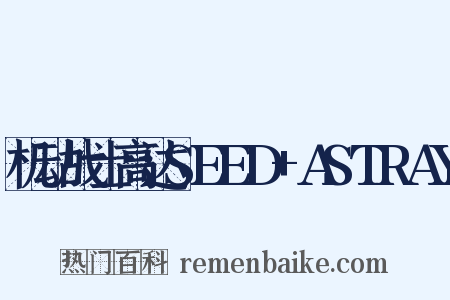 机动战士高达SEED+ASTRAY是什么意思的图片